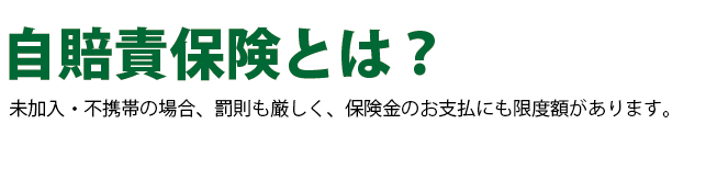 自賠責保険とは？